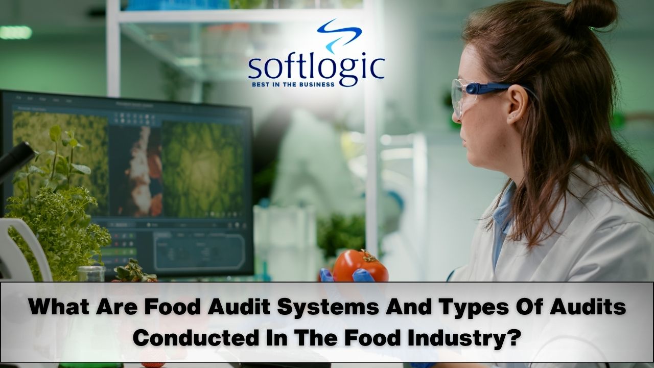 What Are Food Audit Systems And Types Of Audits Conducted In The Food Industry?