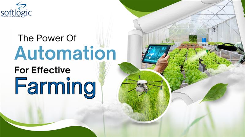 Illustration of smart farming with a person using a tablet in a greenhouse and a drone spraying crops, showcasing the power of automation in agriculture.
