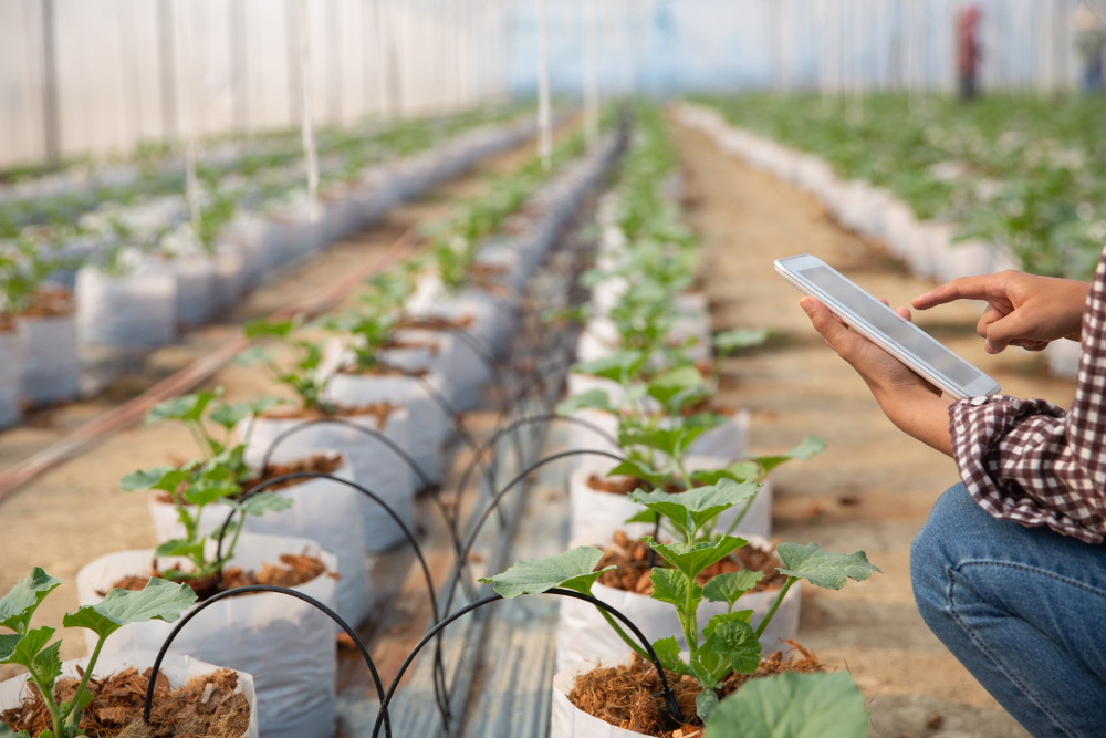 IoT in Agriculture